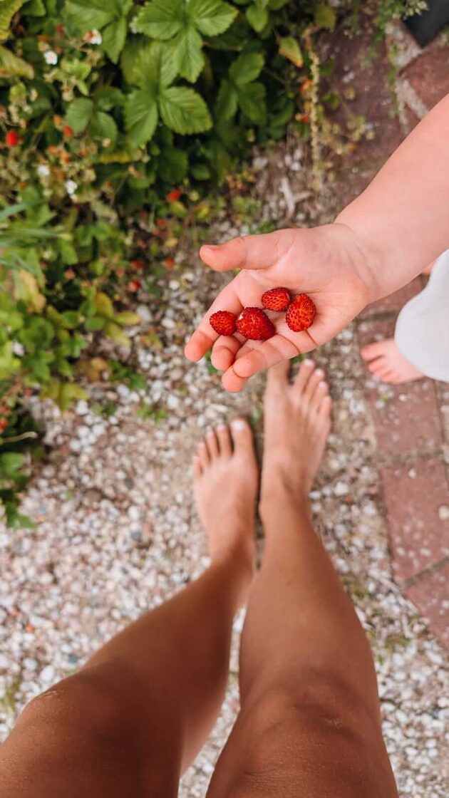 Bērnu audzināšana idejas un dāvanas